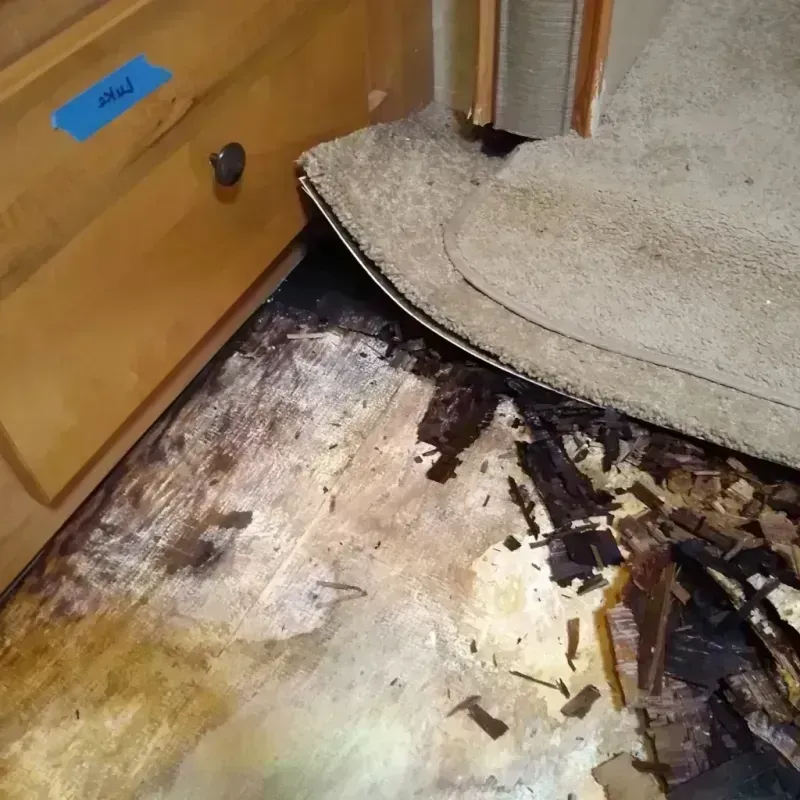 Best Wood Floor Water Damage Service in Monroe County, IA